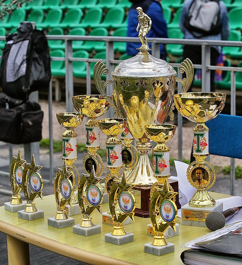 Изображение болельщиков